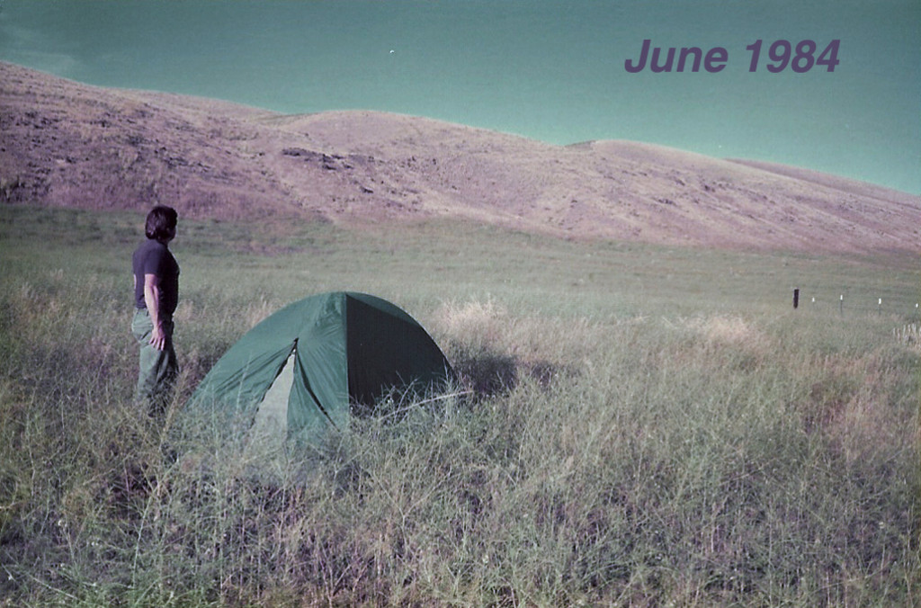 Larry camped on this spot his first night and then purchased the land that was to become Tapteil Vineyard the next morning.